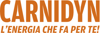 logo amadori